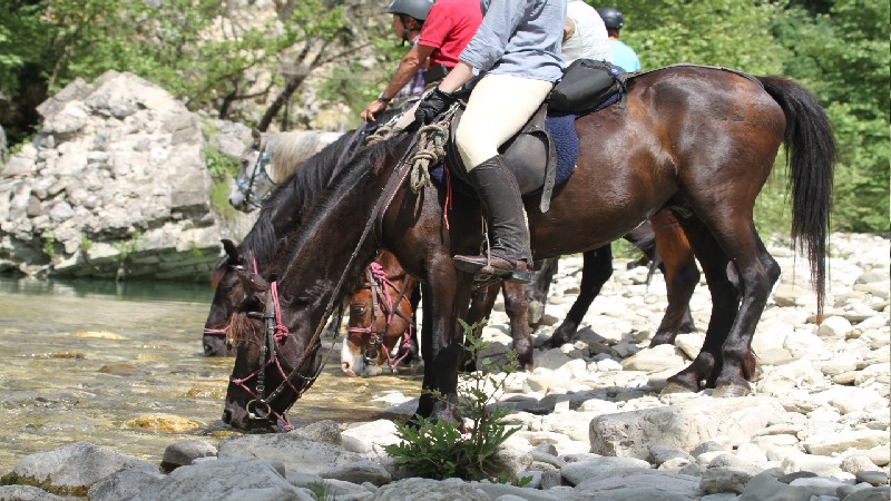 Ridcenter Caravan Horse Riding Albania